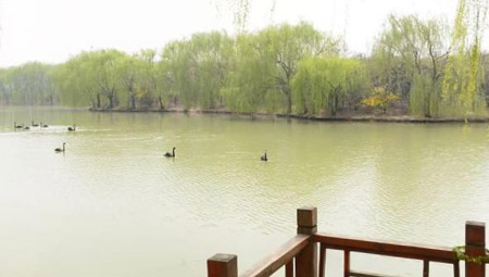 阜陽十大好玩的地方，阜陽有什么好玩的地方景點